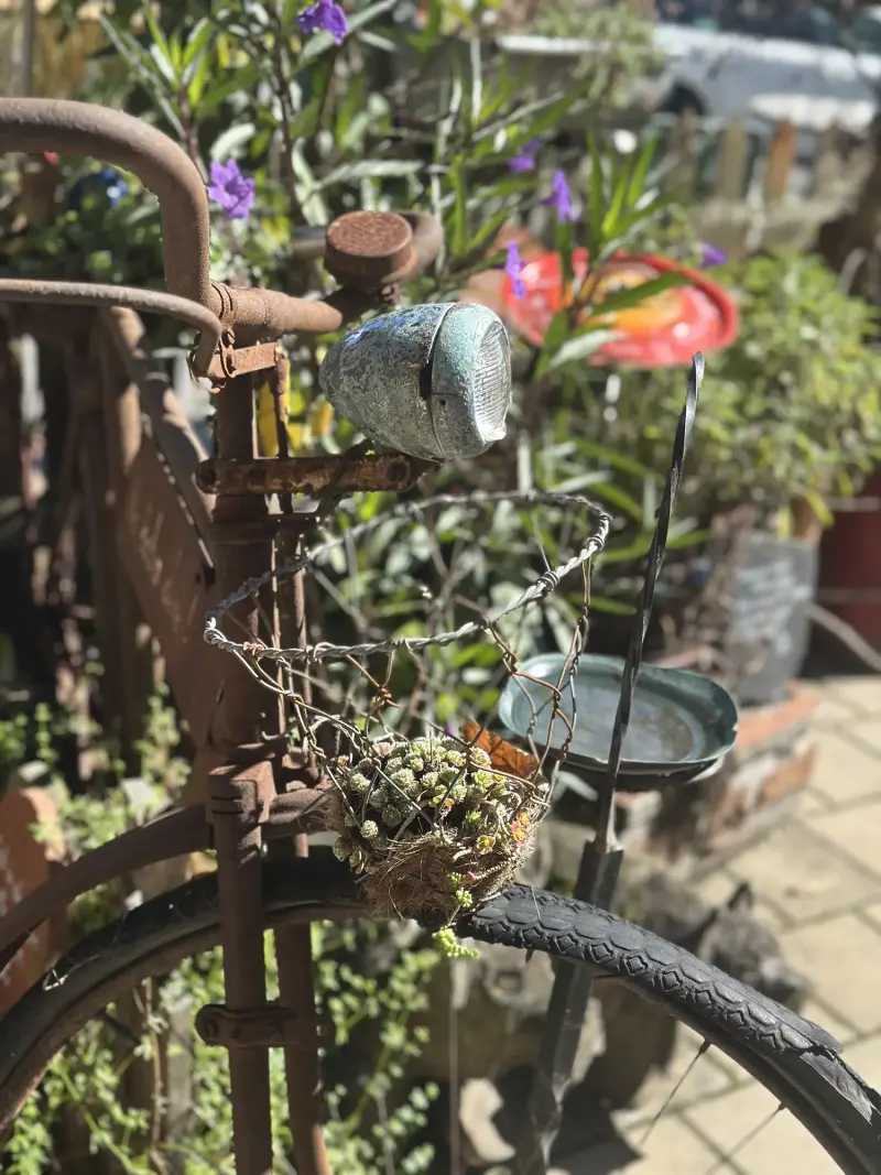 Altes Fahrrad mit Blumen als Dekoration im Garten